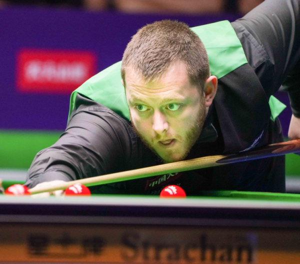 仅展现了她 仅展现了她